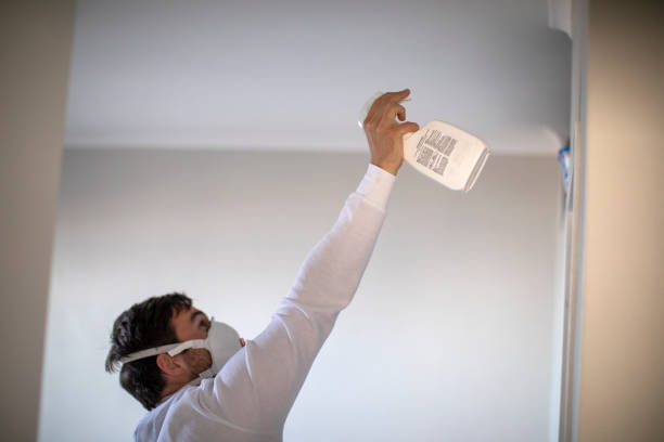 Mold Testing and Removal in Dorneyville, PA