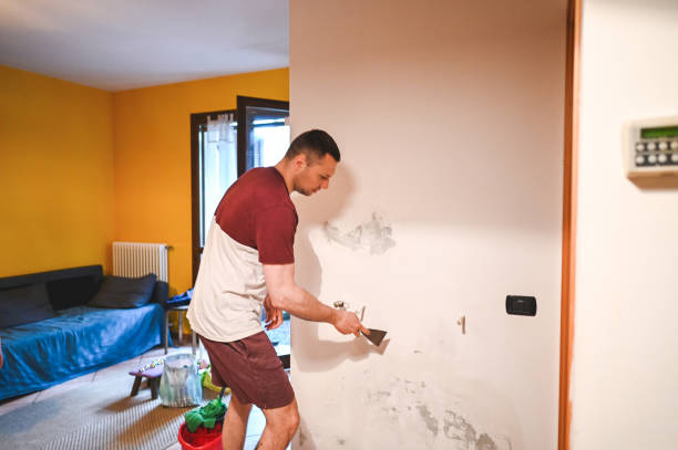 Best Local Mold Removal Service  in Dorneyville, PA
